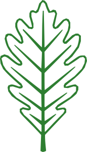 Alexandra logo